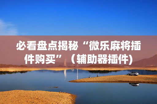 必看盘点揭秘“微乐麻将插件购买”（辅助器插件)