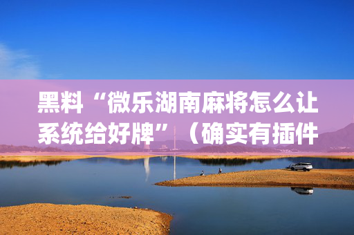 黑料“微乐湖南麻将怎么让系统给好牌”（确实有插件吗)