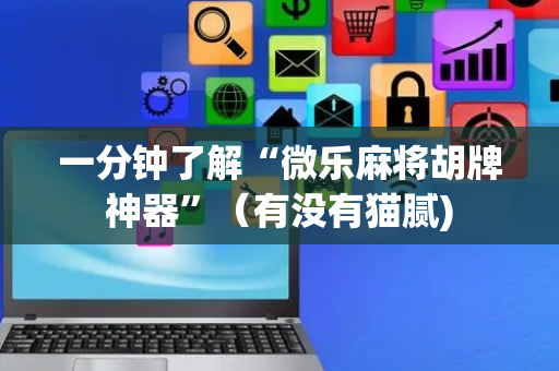 一分钟了解“微乐麻将胡牌神器”（有没有猫腻)