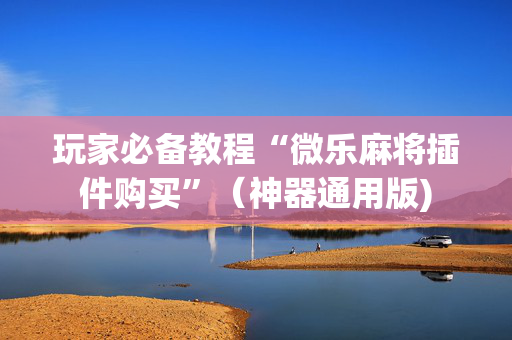 玩家必备教程“微乐麻将插件购买”（神器通用版)