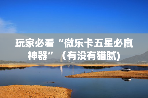 玩家必看“微乐卡五星必赢神器”（有没有猫腻)