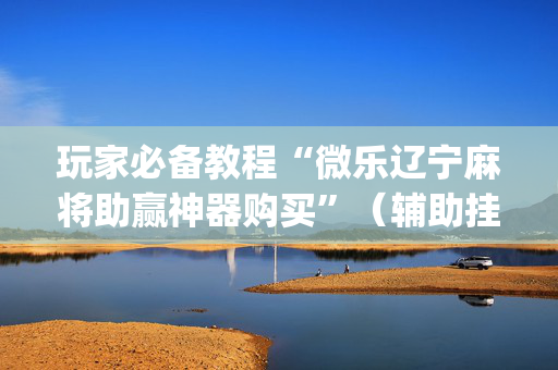 玩家必备教程“微乐辽宁麻将助赢神器购买”（辅助挂发牌规律)