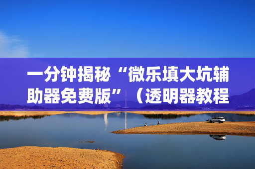 一分钟揭秘“微乐填大坑辅助器免费版”（透明器教程)