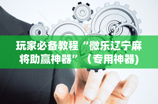玩家必备教程“微乐辽宁麻将助赢神器”（专用神器)