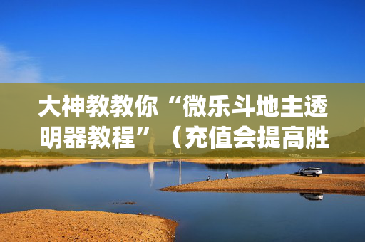 大神教教你“微乐斗地主透明器教程”（充值会提高胜率么)