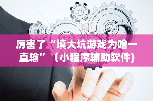 厉害了“填大坑游戏为啥一直输”（小程序辅助软件)