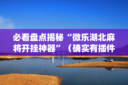 必看盘点揭秘“微乐湖北麻将开挂神器”（确实有插件吗)