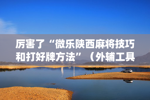 厉害了“微乐陕西麻将技巧和打好牌方法”（外辅工具)