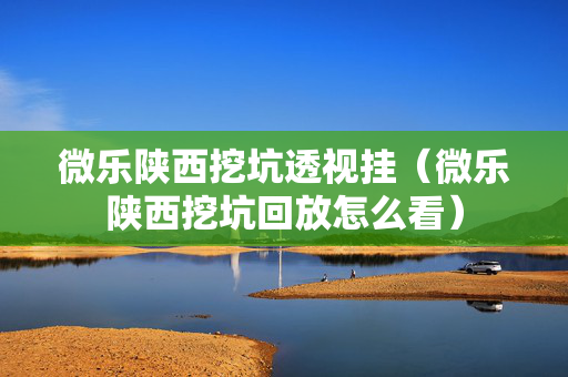 微乐陕西挖坑透视挂（微乐陕西挖坑回放怎么看）