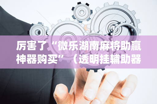 厉害了“微乐湖南麻将助赢神器购买”（透明挂辅助器)