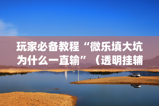 玩家必备教程“微乐填大坑为什么一直输”（透明挂辅助器)