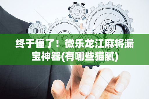 终于懂了！微乐龙江麻将漏宝神器(有哪些猫腻)