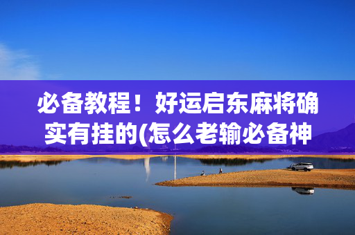 必备教程！好运启东麻将确实有挂的(怎么老输必备神器)