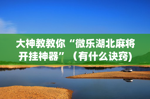 大神教教你“微乐湖北麻将开挂神器”（有什么诀窍)