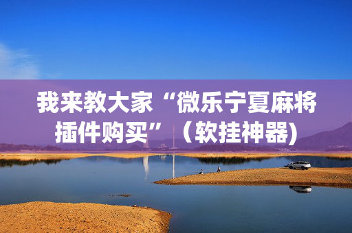 我来教大家“微乐宁夏麻将插件购买”（软挂神器)