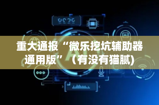 重大通报“微乐挖坑辅助器通用版”（有没有猫腻)