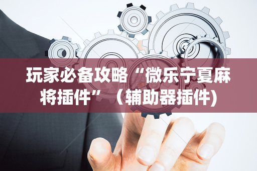 玩家必备攻略“微乐宁夏麻将插件”（辅助器插件)