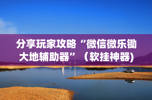 分享玩家攻略“微信微乐锄大地辅助器”（软挂神器)