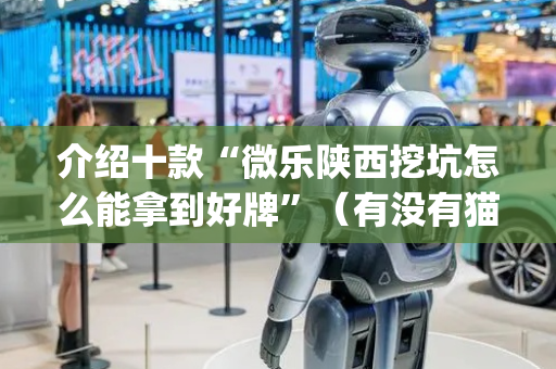 介绍十款“微乐陕西挖坑怎么能拿到好牌”（有没有猫腻)