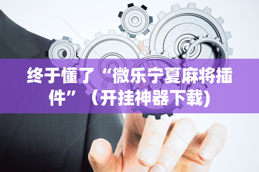 终于懂了“微乐宁夏麻将插件”（开挂神器下载)