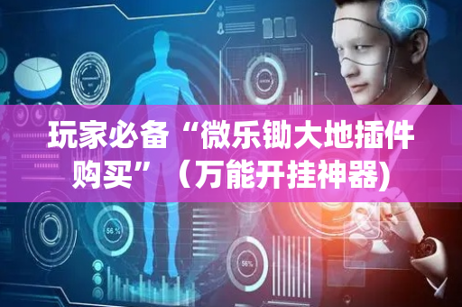 玩家必备“微乐锄大地插件购买”（万能开挂神器)