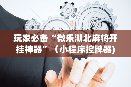 玩家必备“微乐湖北麻将开挂神器”（小程序控牌器)