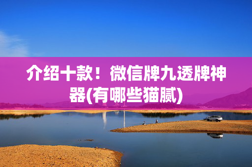 介绍十款！微信牌九透牌神器(有哪些猫腻)