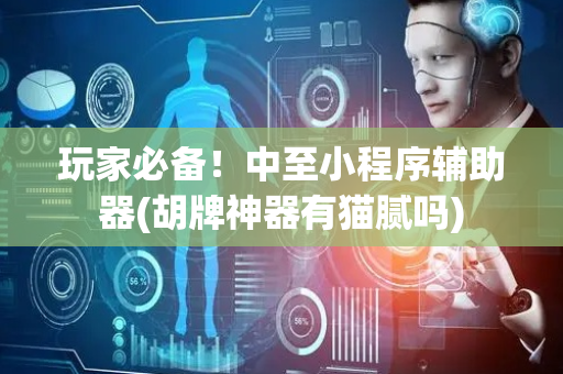 玩家必备！中至小程序辅助器(胡牌神器有猫腻吗)