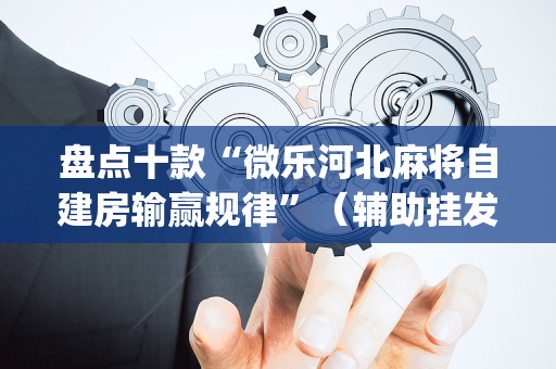 盘点十款“微乐河北麻将自建房输赢规律”（辅助挂发牌规律)