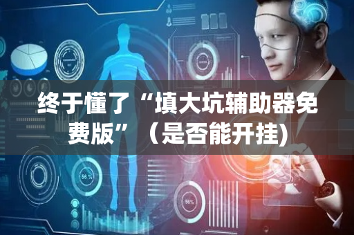 终于懂了“填大坑辅助器免费版”（是否能开挂)