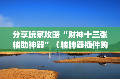 分享玩家攻略“财神十三张辅助神器”（辅牌器插件购买)