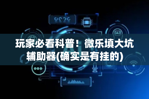 玩家必看科普！微乐填大坑辅助器(确实是有挂的)