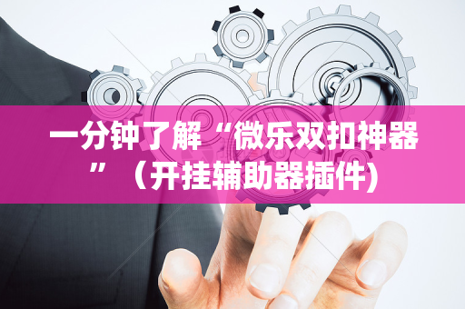 一分钟了解“微乐双扣神器”（开挂辅助器插件)