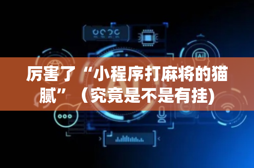 厉害了“小程序打麻将的猫腻”（究竟是不是有挂)