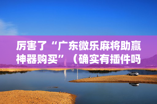 厉害了“广东微乐麻将助赢神器购买”（确实有插件吗)