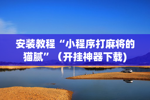 安装教程“小程序打麻将的猫腻”（开挂神器下载)