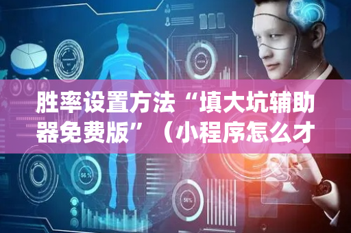 胜率设置方法“填大坑辅助器免费版”（小程序怎么才会赢)
