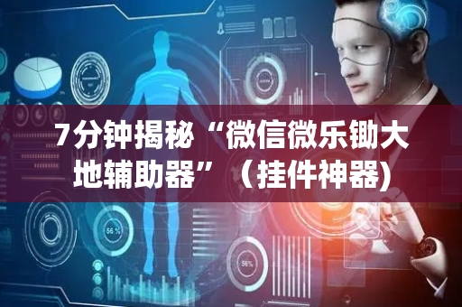 7分钟揭秘“微信微乐锄大地辅助器”（挂件神器)