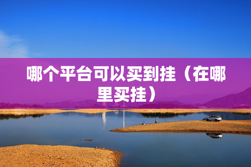 哪个平台可以买到挂（在哪里买挂）