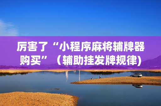 厉害了“小程序麻将辅牌器购买”（辅助挂发牌规律)