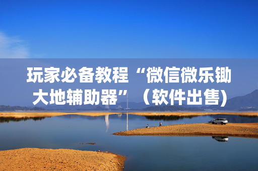 玩家必备教程“微信微乐锄大地辅助器”（软件出售)