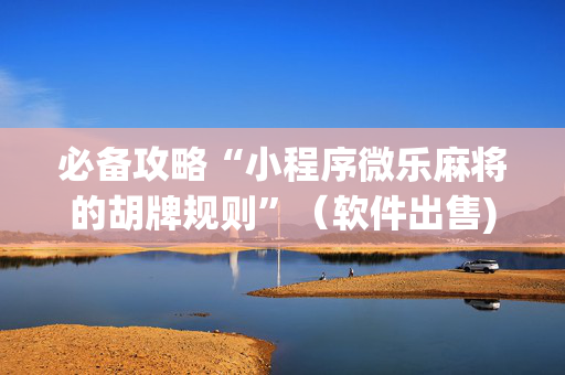必备攻略“小程序微乐麻将的胡牌规则”（软件出售)