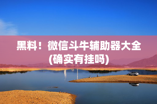 黑料！微信斗牛辅助器大全(确实有挂吗)