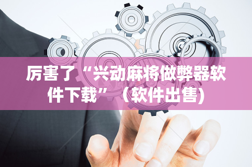 厉害了“兴动麻将做弊器软件下载”（软件出售)