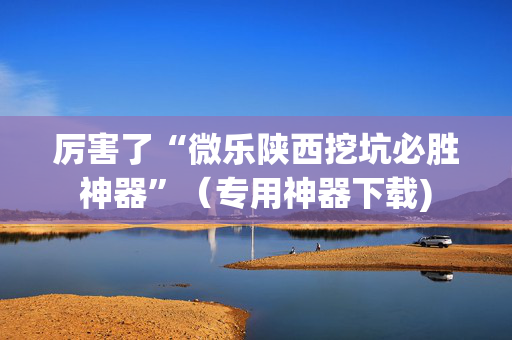 厉害了“微乐陕西挖坑必胜神器”（专用神器下载)