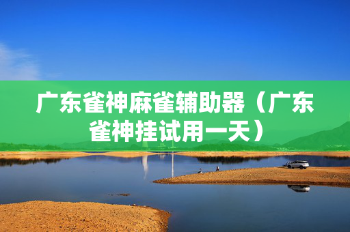 广东雀神麻雀辅助器（广东雀神挂试用一天）