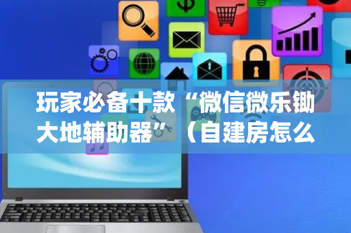 玩家必备十款“微信微乐锄大地辅助器”（自建房怎么拿好牌)