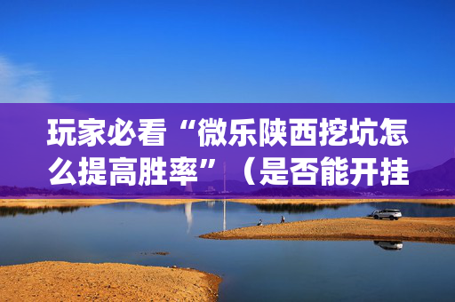 玩家必看“微乐陕西挖坑怎么提高胜率”（是否能开挂)