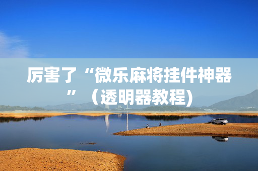 厉害了“微乐麻将挂件神器”（透明器教程)