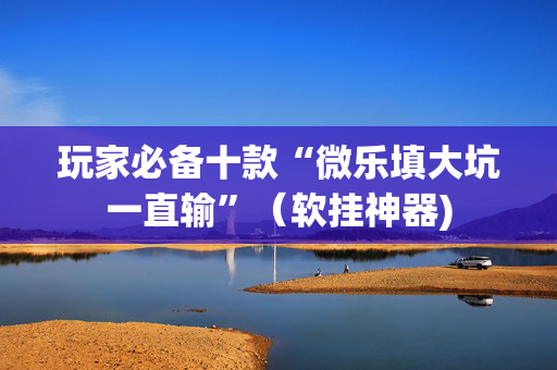 玩家必备十款“微乐填大坑一直输”（软挂神器)
